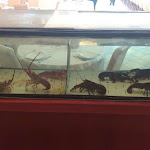 Photo n°2 de l'avis de almara.m fait le 09/05/2018 à 20:46 sur le  Da Renzina à Savelletri