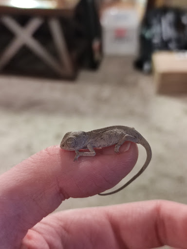 Pet Supply Store «Petco Animal Supplies», reviews and photos, 78720 CA-111, La Quinta, CA 92253, USA