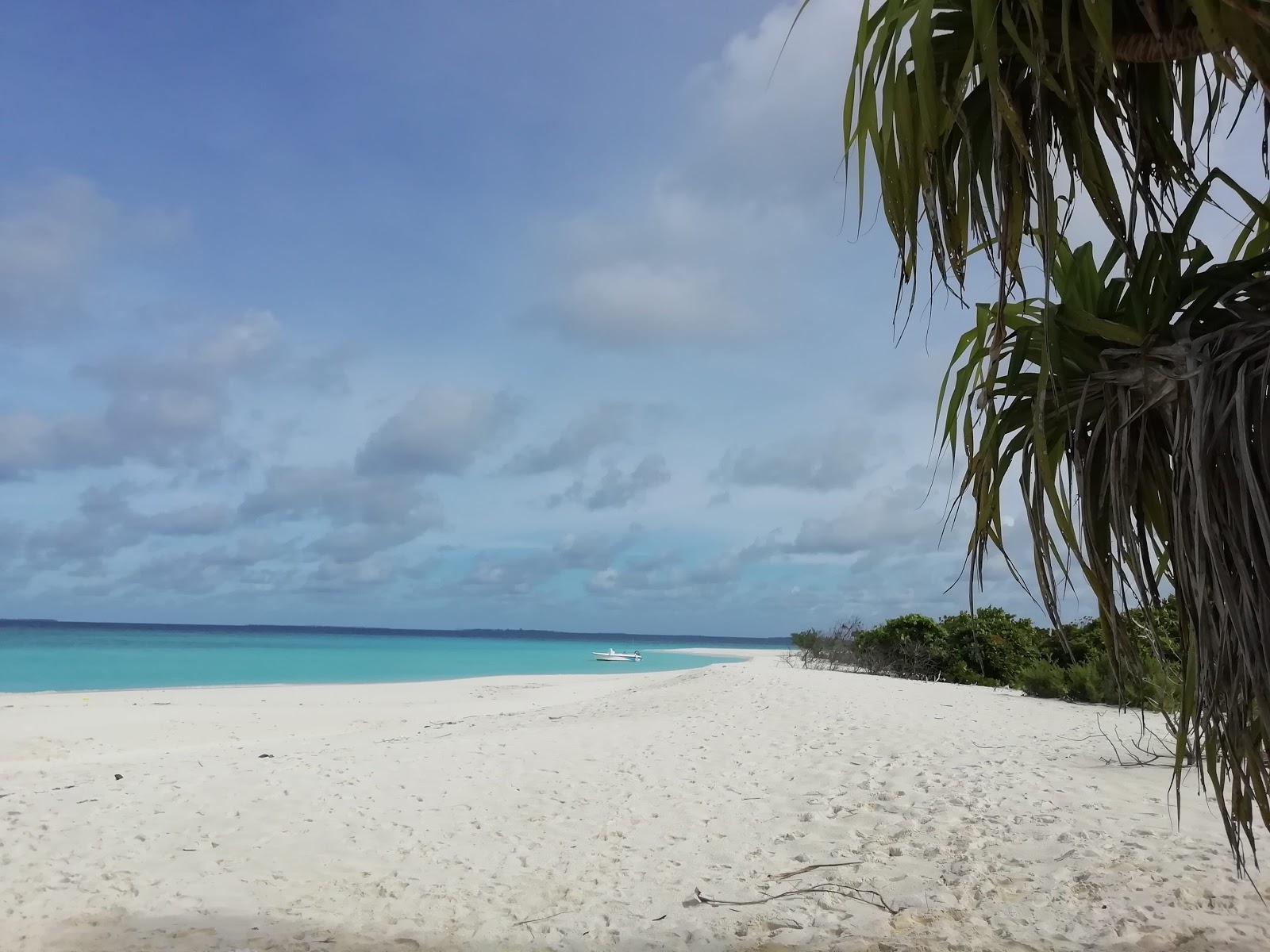 Villingilli Island Beach的照片 带有碧绿色纯水表面