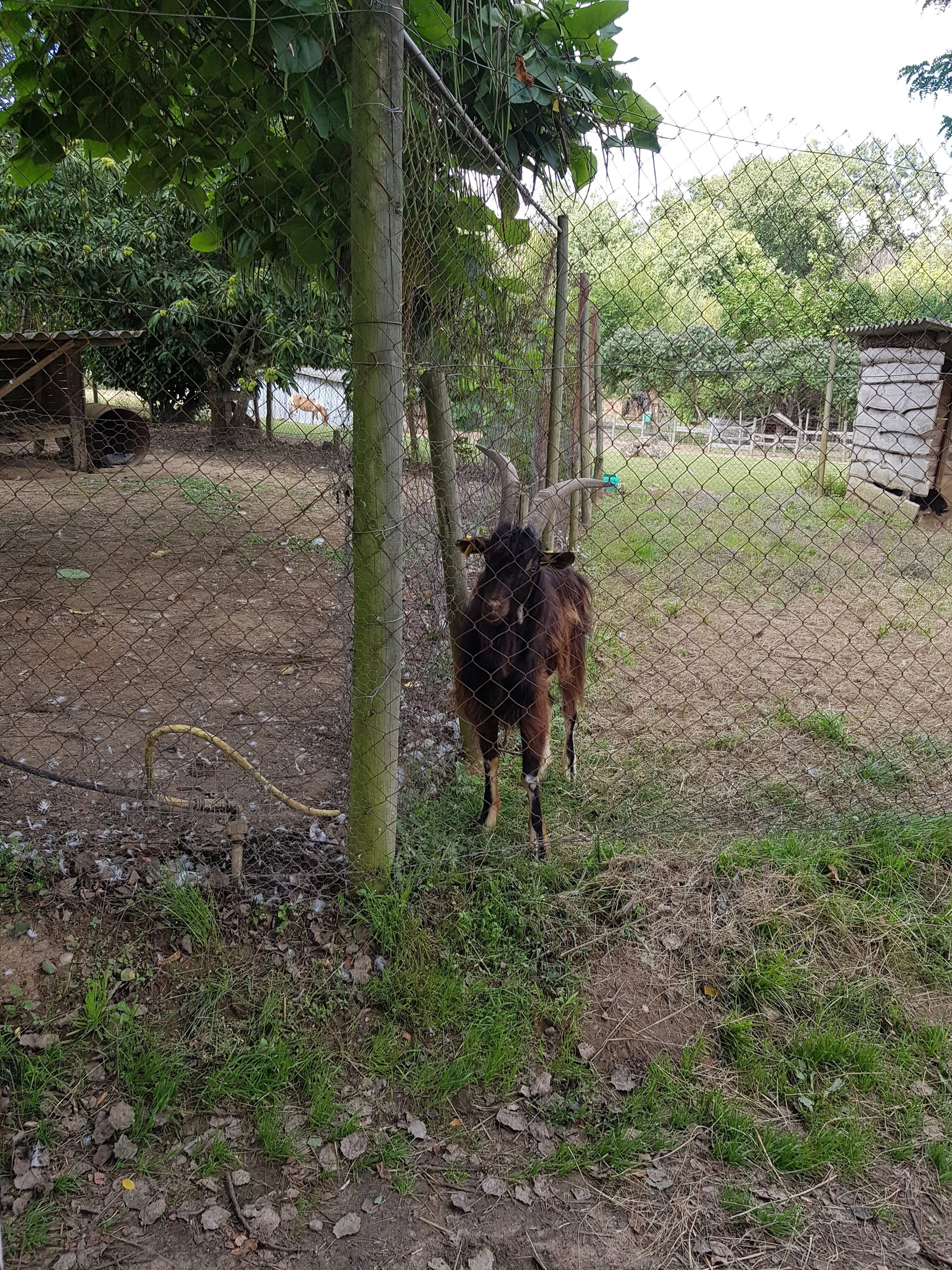 Photo n° 15 de l'avis de Gribs. fait le 13/08/2017 à 17:24