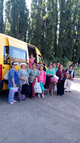 Trasporte Escolar y Turismo Santa Teresa de Los Andes - Servicio de transporte