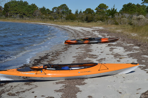 National Park «Assateague Island National Seashore», reviews and photos, 7206 National Seashore Ln, Berlin, MD 21811, USA