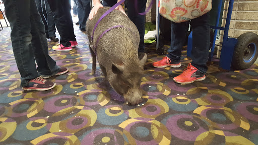 Bowling Alley «Ten Pin Alley», reviews and photos, 6285 Nesbitt Rd, Fitchburg, WI 53719, USA