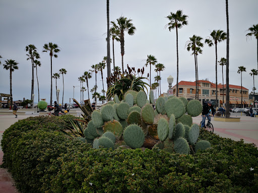 Fishing Pier «Newport Beach Pier», reviews and photos, 70 Newport Pier, Newport Beach, CA 92663, USA