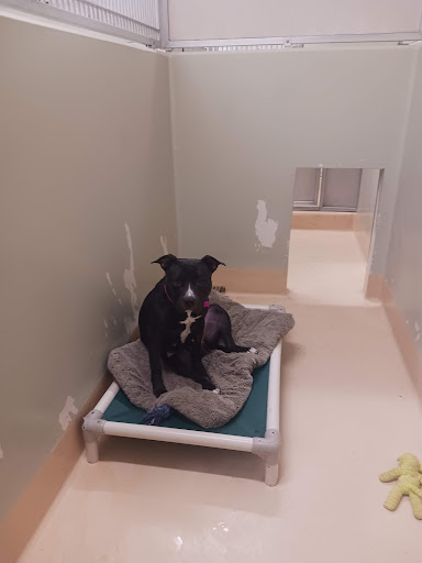 Animal Shelter «Oregon Humane Society», reviews and photos