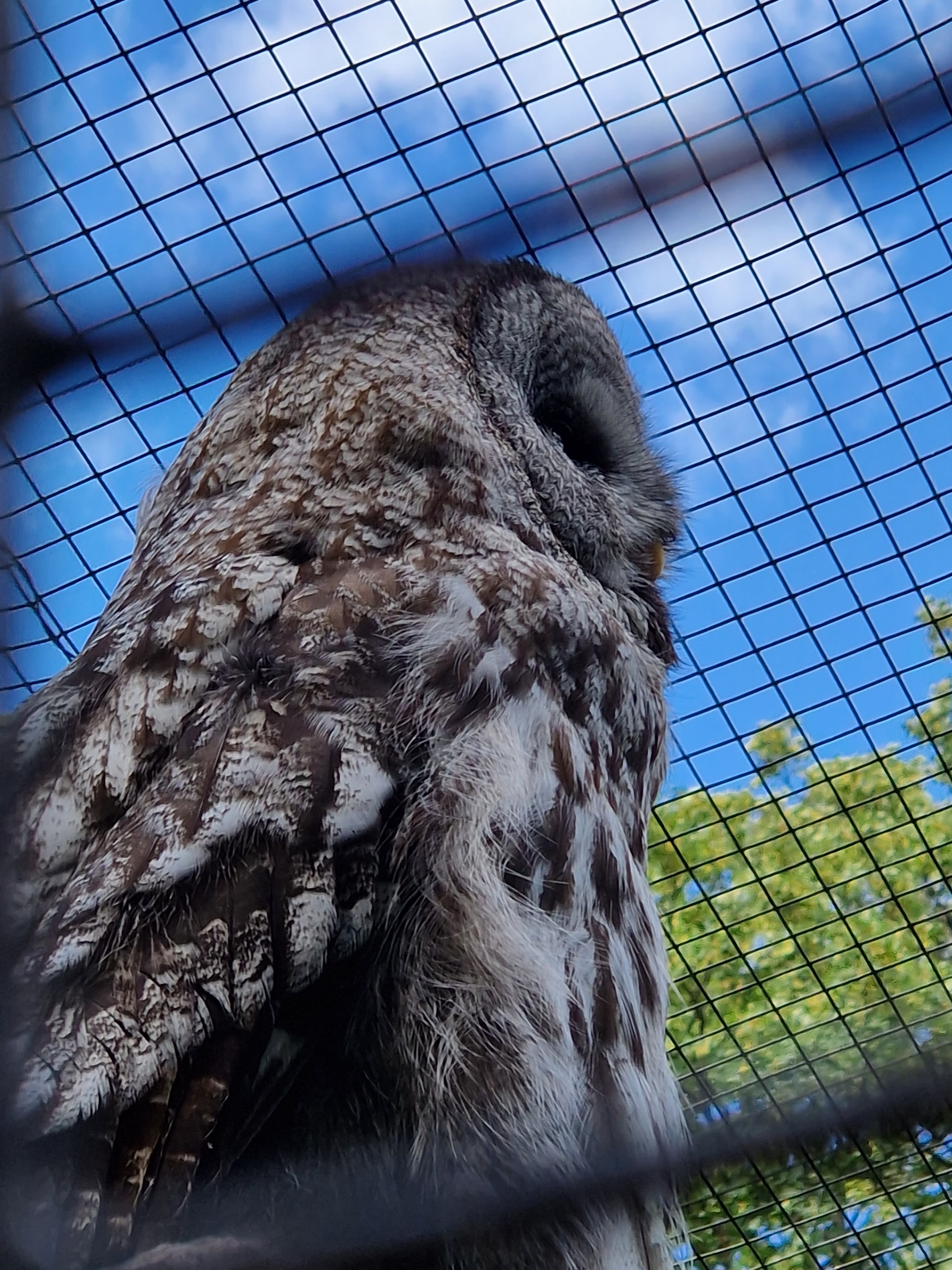 Photo n° 2 de l'avis de Delphine.l fait le 18/07/2023 à 13:34