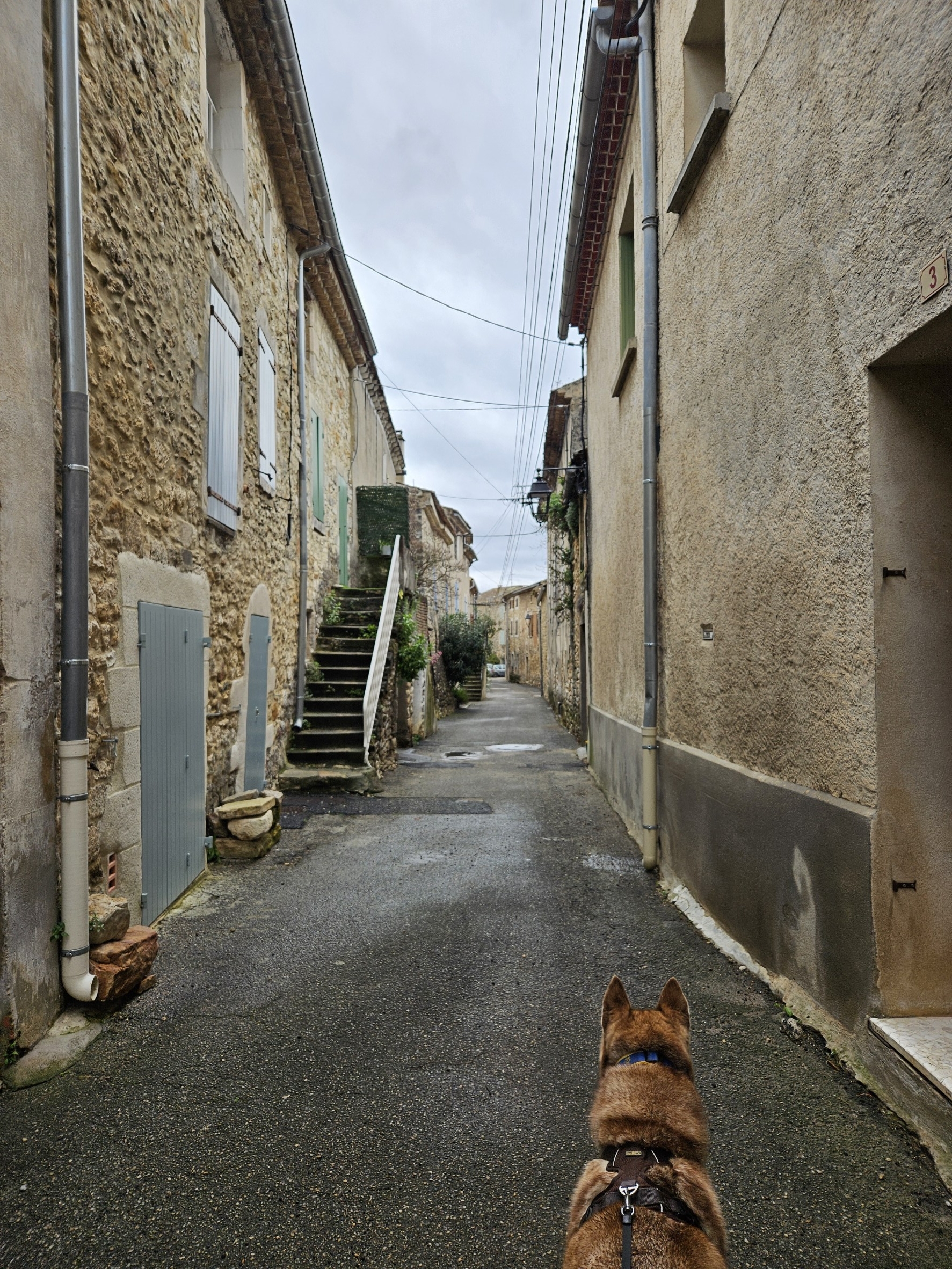 Photo n° 2 de l'avis de Liane.e fait le 26/03/2024 à 19:51