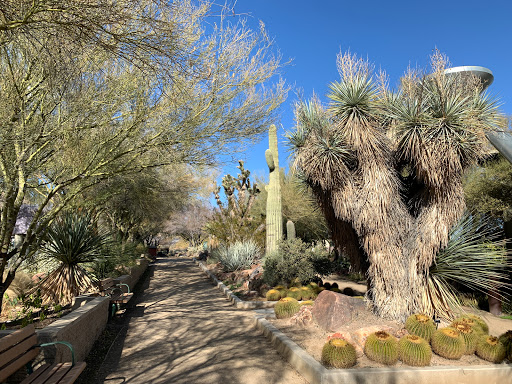 Springs Preserve Las Vegas