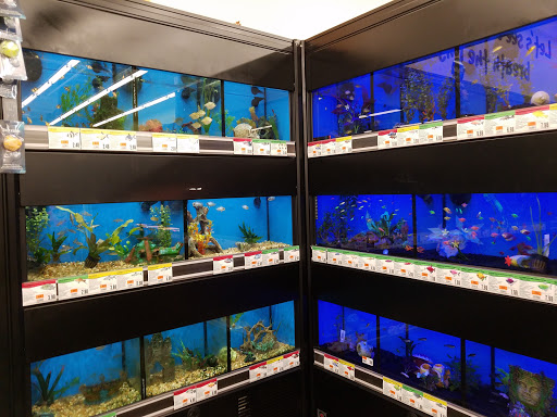 Pet Supply Store «Pet Supplies Plus», reviews and photos, 74-17 Grand Ave, Maspeth, NY 11378, USA