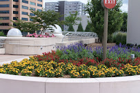 David J. Frank Landscape Contracting - Photo 6 - Car repair in Monona, WI, Madison