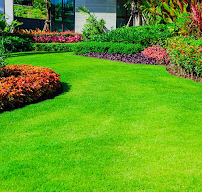 Lawngevity - Photo 6 - Car repair in , Oklahoma City