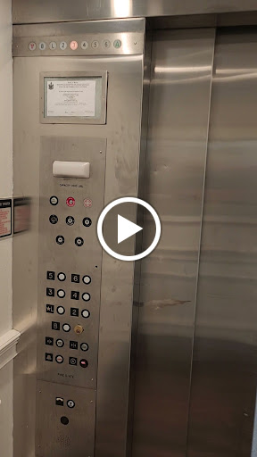 Explore tattoo ideas for a name cover up, creative tattoo ideas in Portland, available at Velvet Ink Tattoo Studio