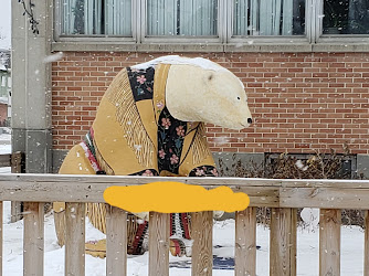 Metis Federation Bear