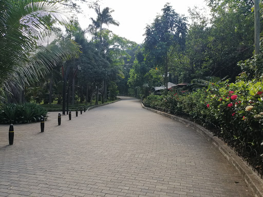 Jardín botánico del Biomuseo