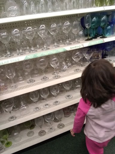 Dollar Store «Dollar Tree», reviews and photos, 3290 W 72nd Ave, Westminster, CO 80030, USA