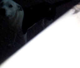 Espacio deportivo Cerro de la cruz lll photo