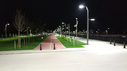 Tacin Park