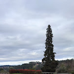 Photo n°2 de l'avis de Emanuel.o fait le 25/03/2023 à 22:41 sur le  Solar Dos Caceres à Casal Vasco