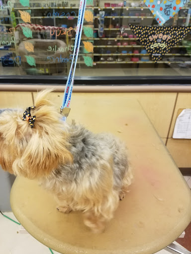 Pet Supply Store «PetSmart», reviews and photos, 1300 John F Kennedy Rd, Dubuque, IA 52002, USA