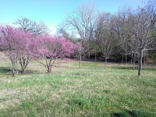 Nature Preserve «Meacham Forest Preserve», reviews and photos, Circle Ave, Bloomingdale, IL 60108, USA