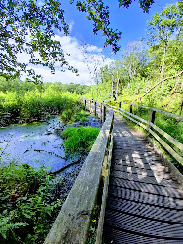 Risley Moss - Parking garage