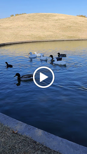 City Park «Steele Indian School Park», reviews and photos, 300 E Indian School Rd, Phoenix, AZ 85012, USA