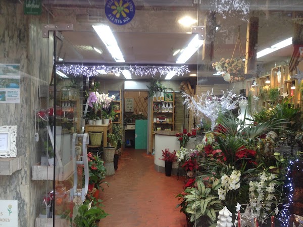 Floristeria Soriano