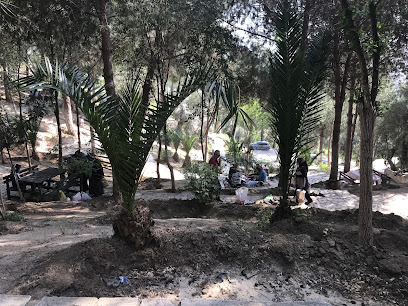 Atça Belediyesi Hacı Salih Bayırı Piknik Alanı