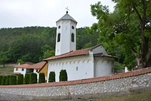 Vujan Monastery image