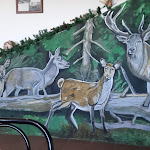 Photo n°1 de l'avis de Michele.a fait le 09/07/2023 à 19:44 sur le  Circolo Le Piane di Pratetto à Tavigliano