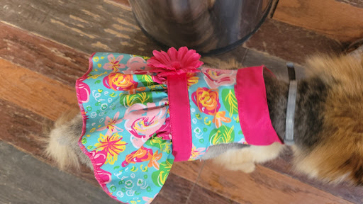 Pet Supply Store «Pet Supplies Plus», reviews and photos, 2057 S Telegraph Rd, Bloomfield Hills, MI 48302, USA