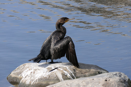 Park «Van Der Donck Park», reviews and photos, 41 Dock St, Yonkers, NY 10701, USA