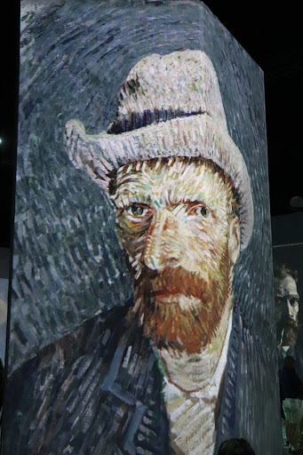 Beyond Van Gogh Buffalo image 3