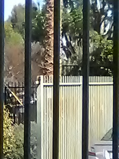 Cell Phone Store «AT&T Authorized Retailer», reviews and photos, 23639 Calabasas Rd, Calabasas, CA 91302, USA