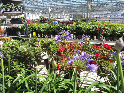 Home Improvement Store «The Home Depot», reviews and photos, 871 North Hwy 27, Lady Lake, FL 32159, USA