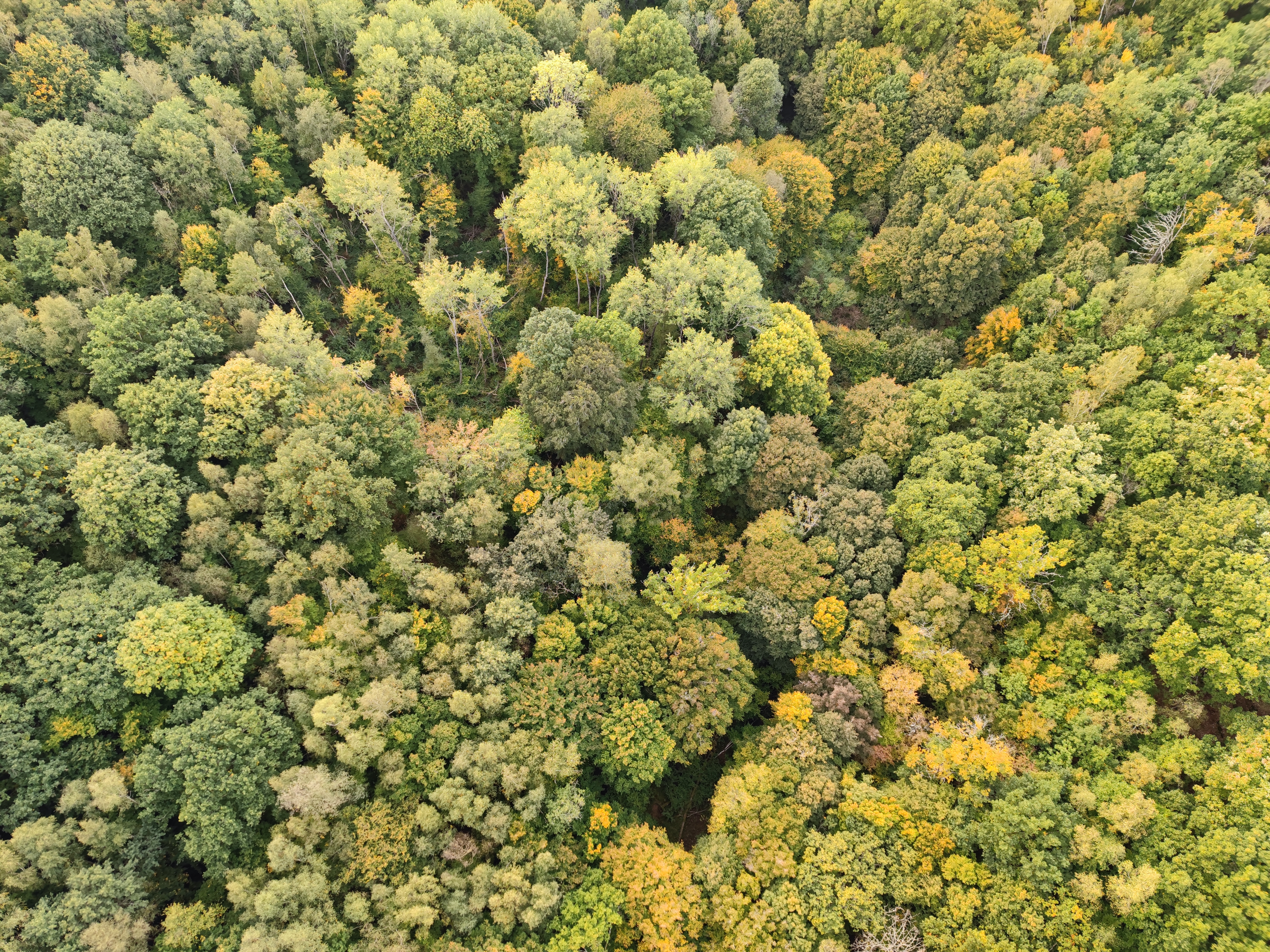 Photo n° 4 de l'avis de rodolf.e fait le 23/10/2022 à 11:42
