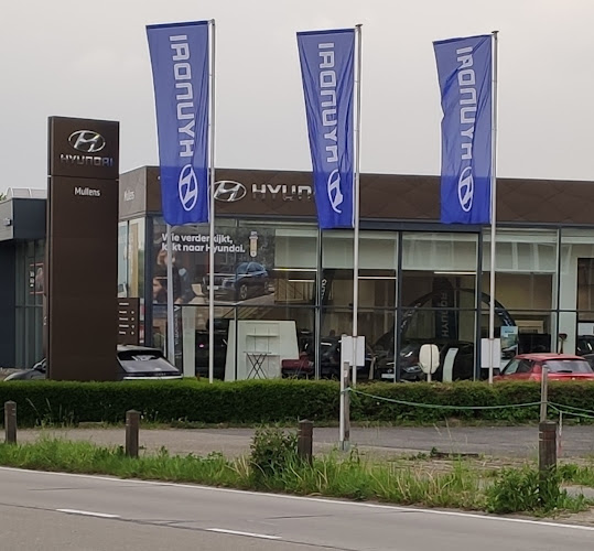 Mullens Leuven - Hyundai - Suzuki