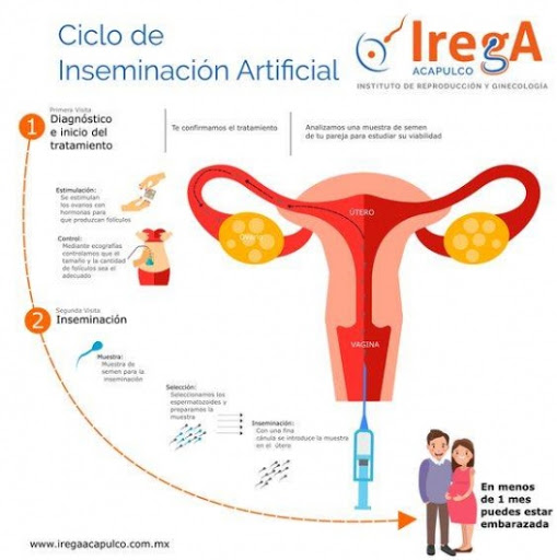 Dr. Bry´an Adan Oliveros Galeana, Ginecólogo Obstetra, Biólogo en Reproducción Humana