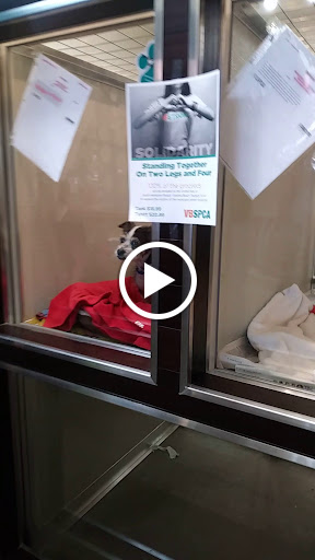 Pet Supply Store «Virginia Beach SPCA Pet Supplies & Adoption Center», reviews and photos, 983 Providence Square Shopping Center, Virginia Beach, VA 23464, USA