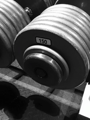 Gym «Ironclad Fitness Studio», reviews and photos, 1300 W Lake St, Roselle, IL 60172, USA