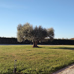 Photo n°5 de l'avis de Sara.e fait le 17/12/2023 à 18:34 sur le  Hotel le Capanne à Arezzo