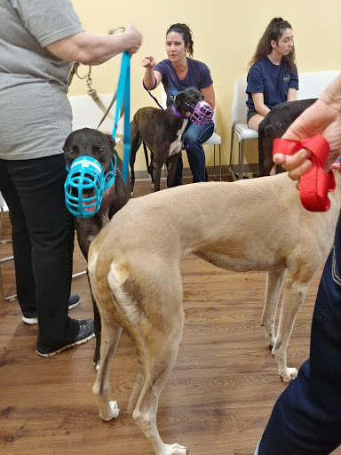 Pet Supply Store «PetPeople», reviews and photos, 3330 Washtenaw Ave, Ann Arbor, MI 48104, USA