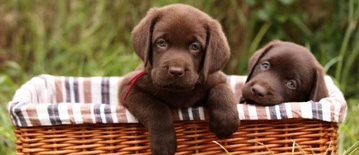 5629 Constitution Ave, Colorado Springs, CO 80915, USA