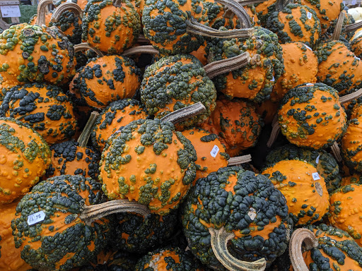 Garden Center «Nalls Produce», reviews and photos, 7310 Beulah St, Alexandria, VA 22315, USA