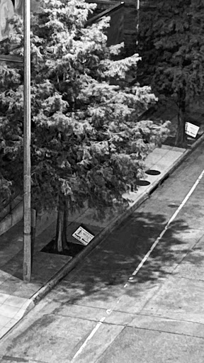 Thrift Store «Goodwill», reviews and photos, 3121 College Dr # B, Baton Rouge, LA 70808, USA