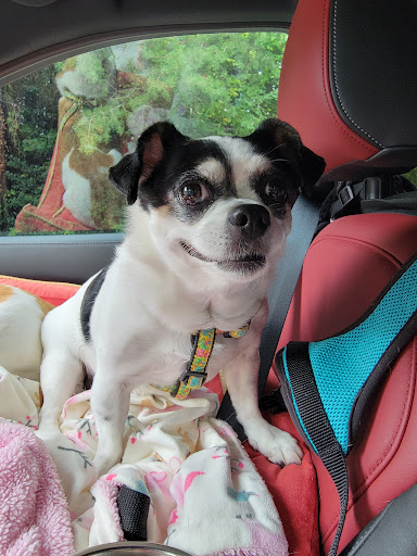 Memorial Park «Ox Hill Battlefield Park», reviews and photos, 4134 West Ox Rd, Fairfax, VA 22033, USA