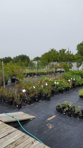 Plant Nursery «Guerin Nursery and Boutique», reviews and photos, 1418 Fall Creek Hwy, Granbury, TX 76049, USA