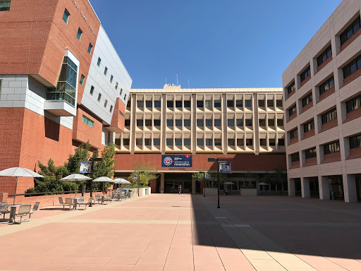 Faculty of psychology Tucson
