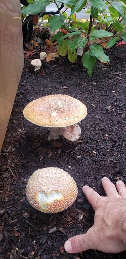 Golf Course «Foster Golf Links», reviews and photos, 13500 Interurban Ave S, Tukwila, WA 98168, USA