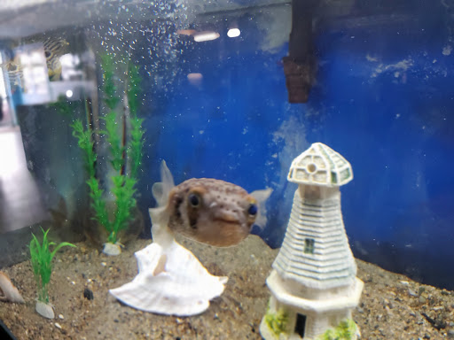 Aquarium «Biomes Marine Biology Center», reviews and photos, 6640 Post Rd, North Kingstown, RI 02852, USA